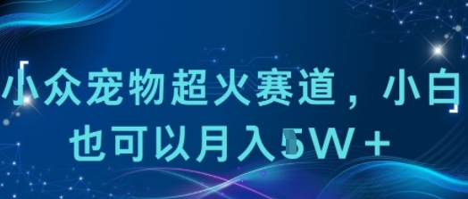 小众宠物超火赛道，小白也可以月入1w+